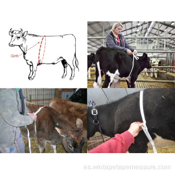 Cinta métrica de pesaje de ganado para animales